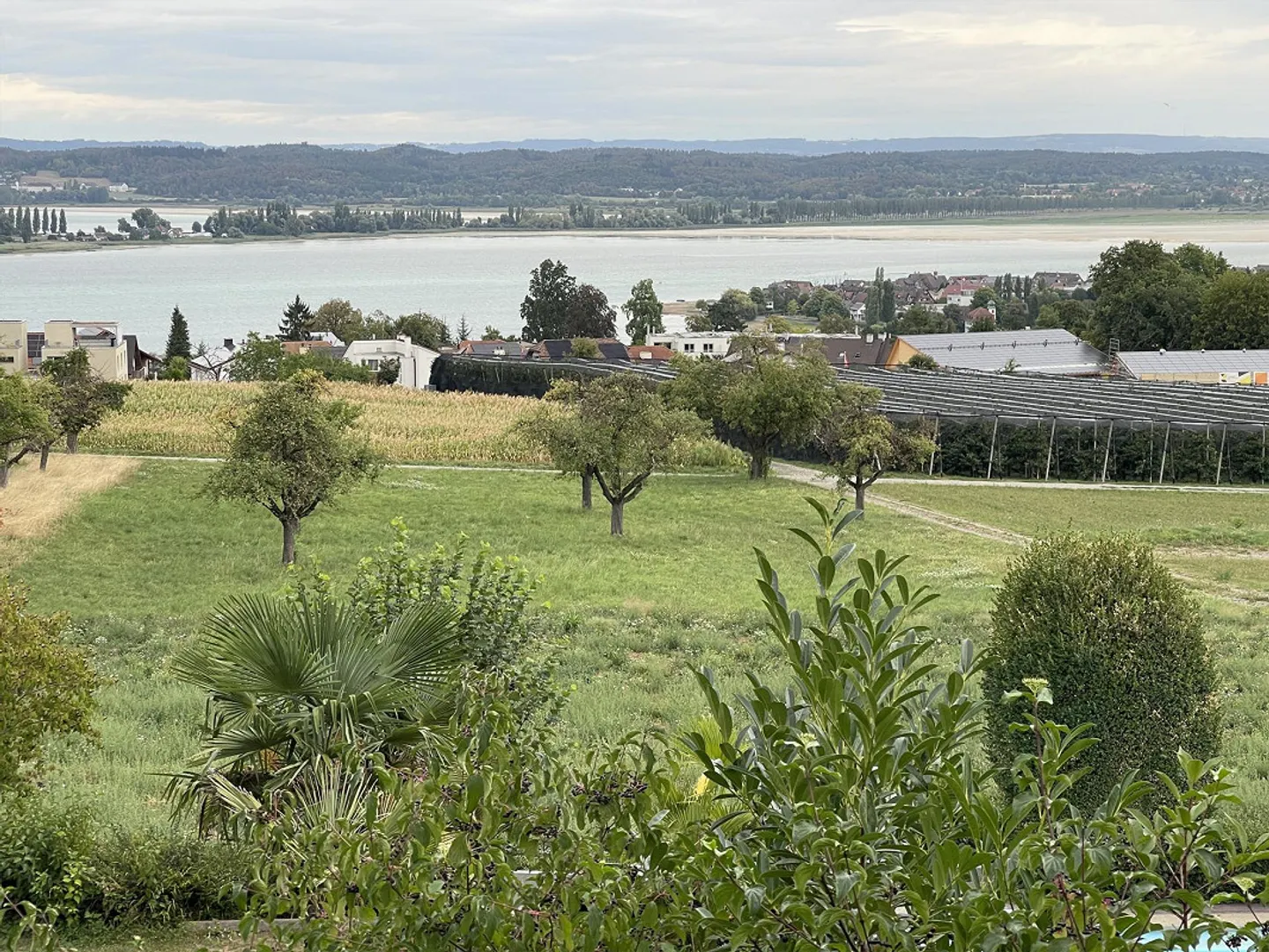 Appartement calme de 1,5 pièce avec vue imprenable sur le lac comme oasis - Photo 1 sur 10