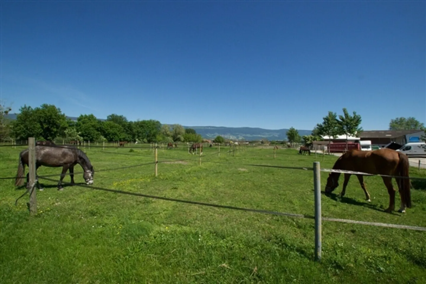 «Reitzentrum Yverdon 110 Boxen, Reitschulen, Unterkunft» - Foto 7 von 8