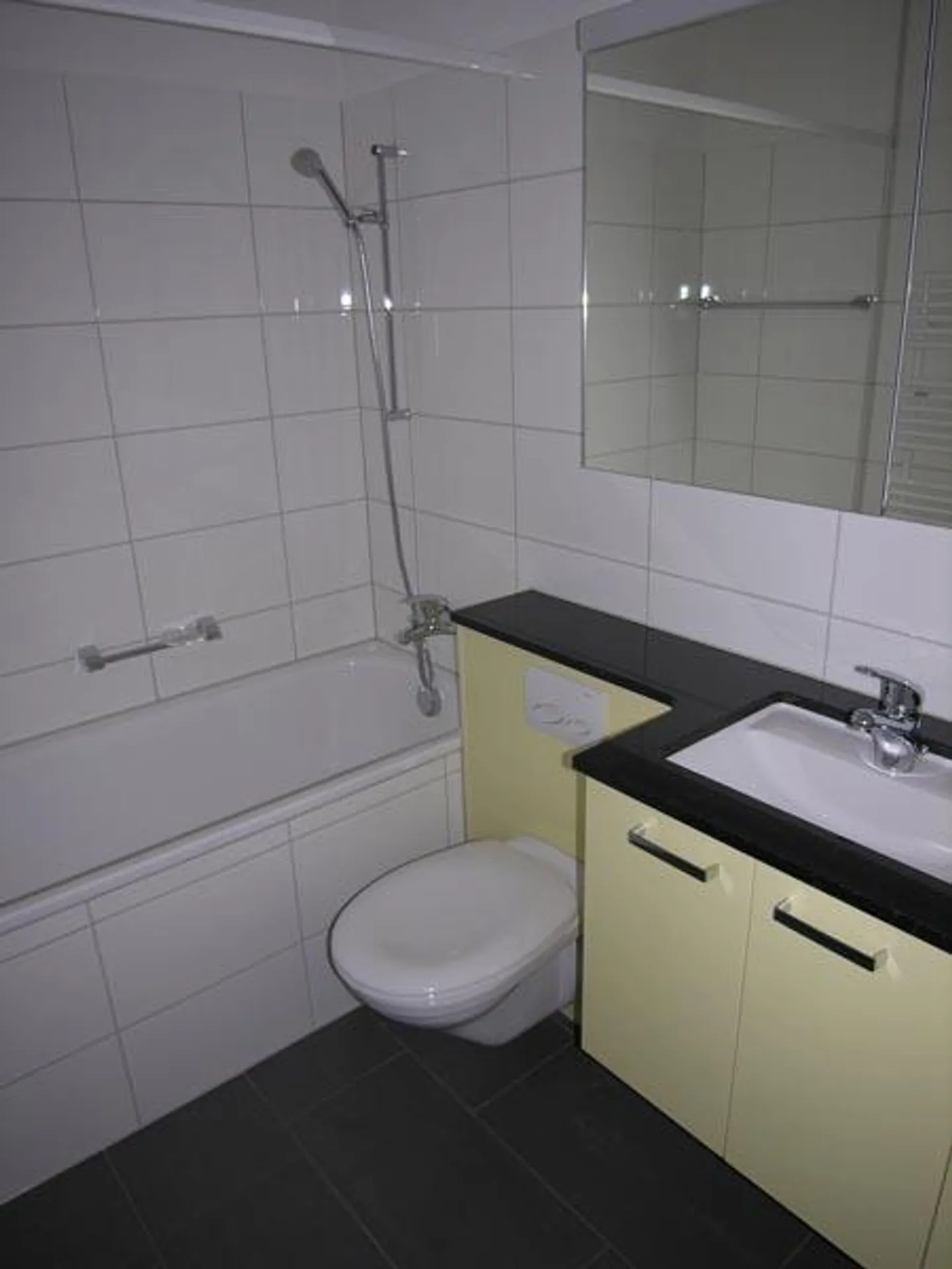 Modern single apartment in a green location in Wädenswil - Photo 5 of 6