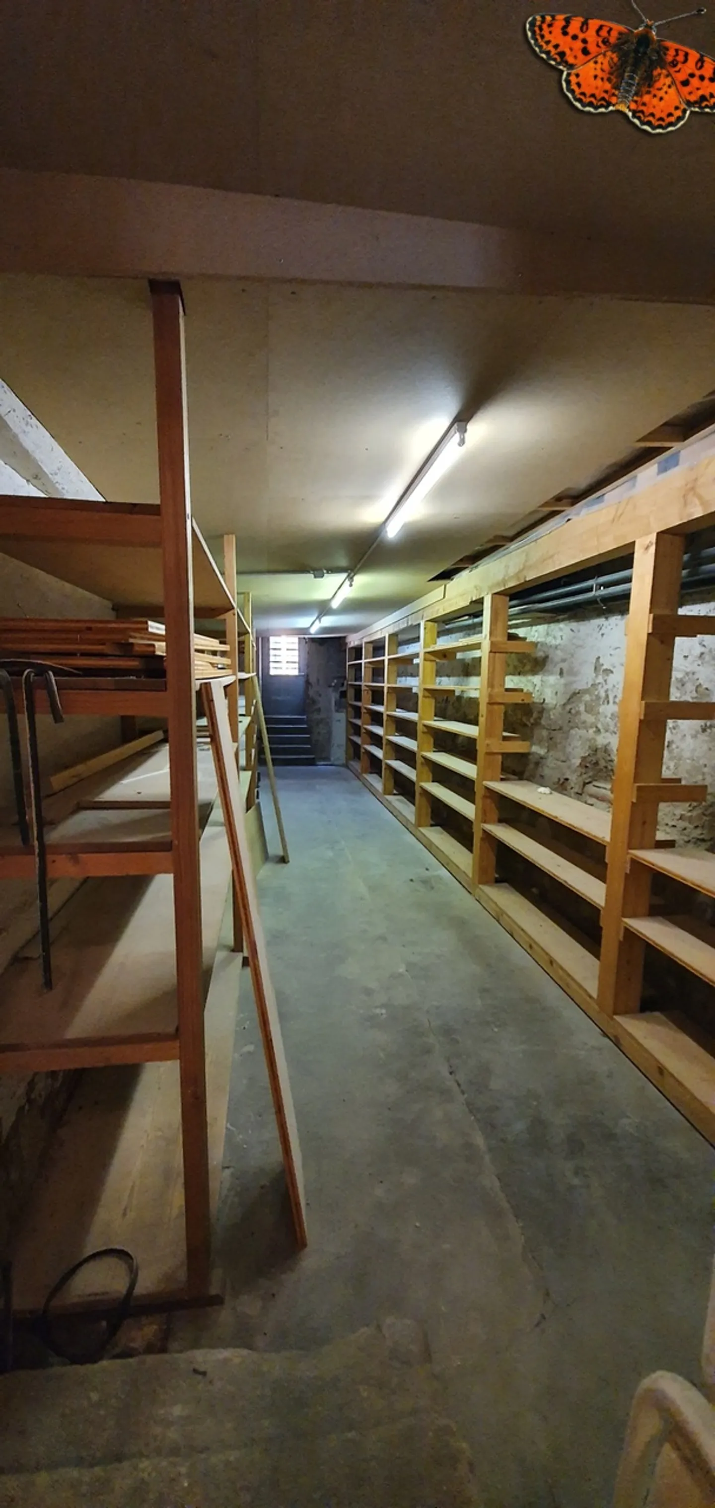 Bella superficie commerciale di 114m² nel cuore di Payerne - Foto 6 di 9