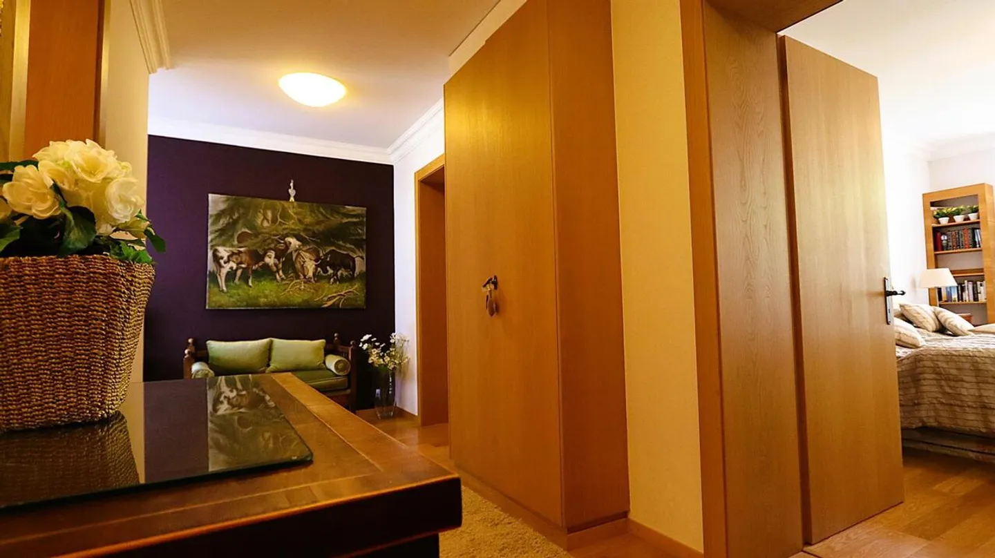 Magnificent 3.5 Room Apartment in a Historic Alpine Residence - Photo 6 of 20