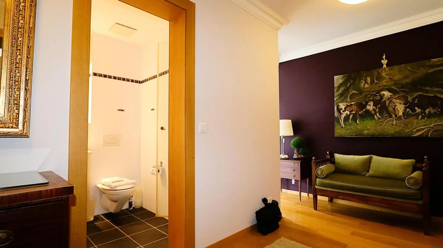 Magnificent 3.5 Room Apartment in a Historic Alpine Residence - Photo 8 of 20