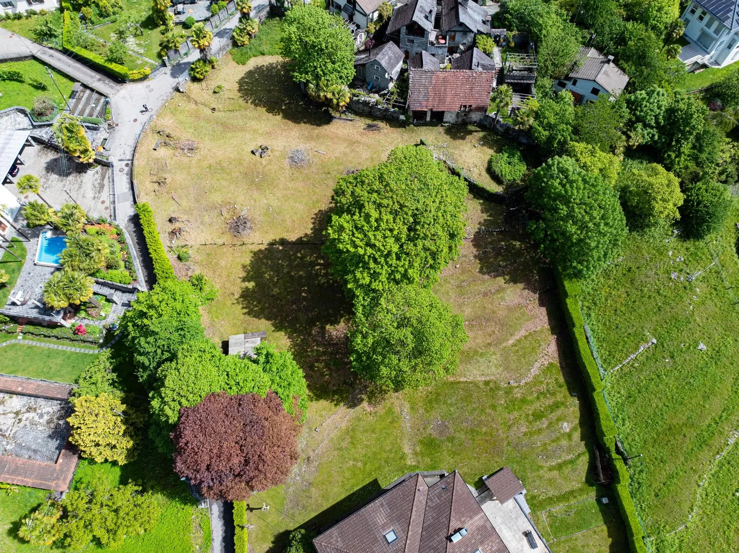 Luce, cemento e legno incorporati tra il verde e le montagne di Valmaggesi - Foto 2 di 8