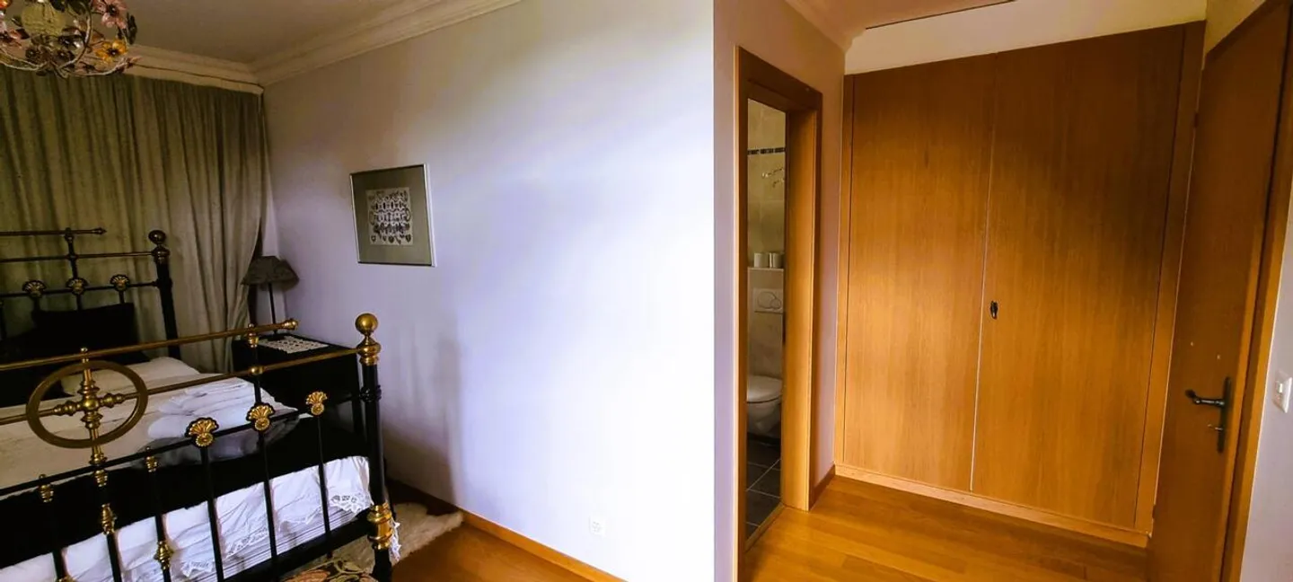 Magnificent 3.5 Room Apartment in a Historic Alpine Residence - Photo 9 of 20