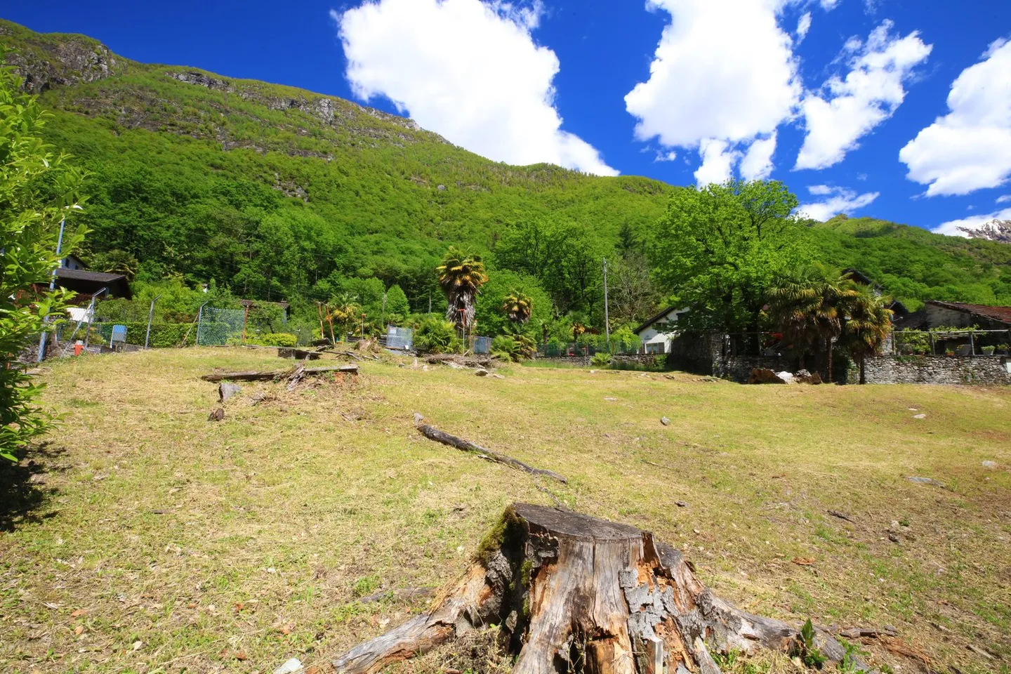 Luce, cemento e legno incorporati tra il verde e le montagne di Valmaggesi - Foto 4 di 8