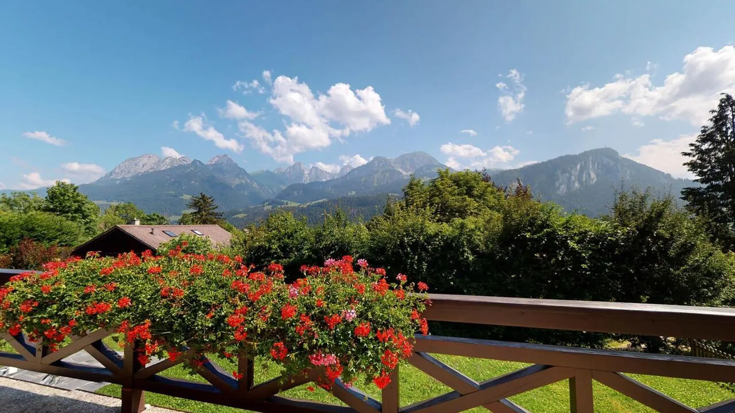 Magnificent 3.5 Room Apartment in a Historic Alpine Residence - Photo 15 of 20