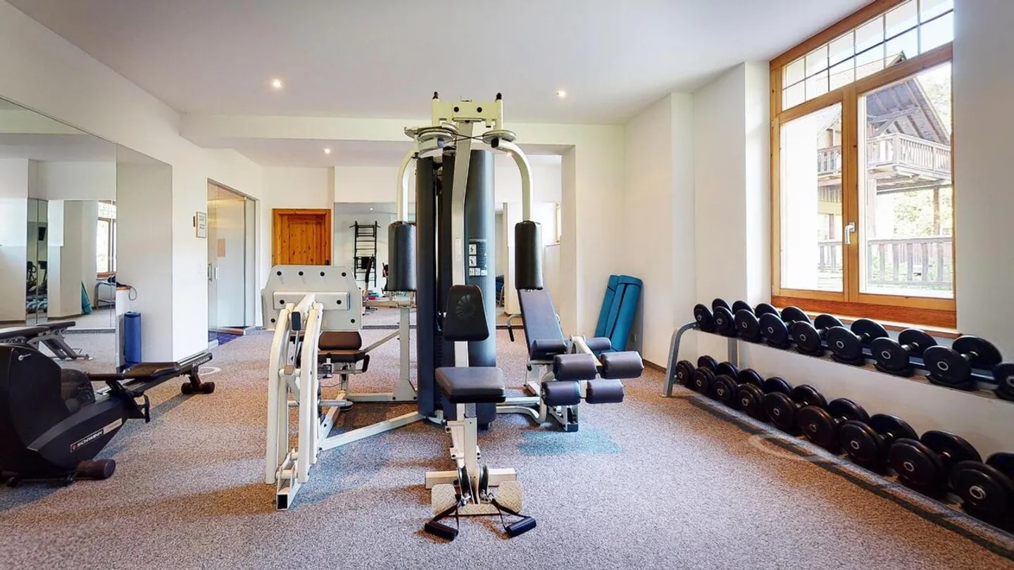 Magnificent 3.5 Room Apartment in a Historic Alpine Residence - Photo 18 of 20