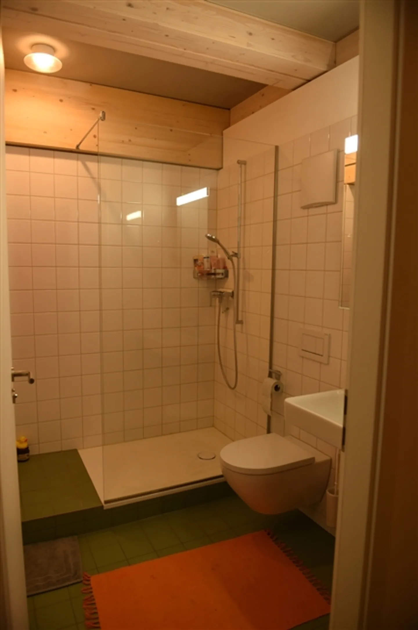 2½ ROOM APARTMENT IN WINDISCH (AG), FURNISHED, TEMPORARY - Photo 5 of 6