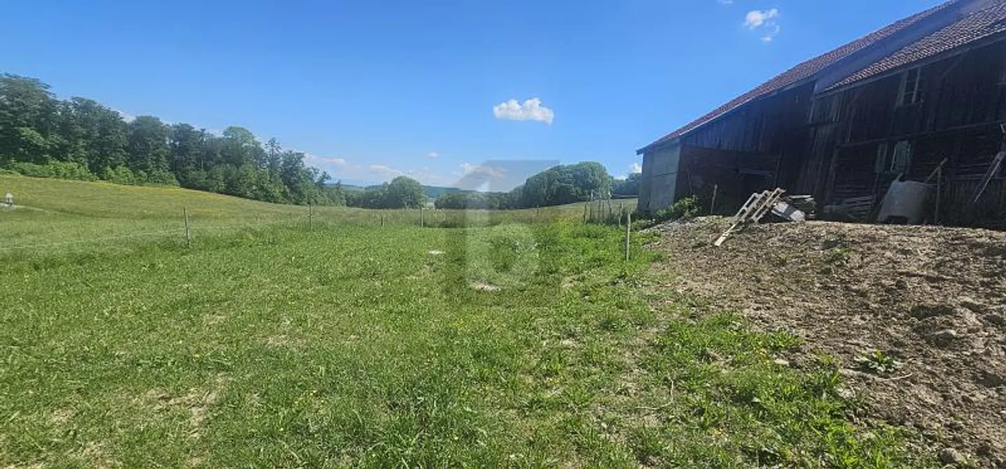 EXCEPTIONAL PRICE! TO BE DEVELOPED IN A BARN - Photo 4 of 6