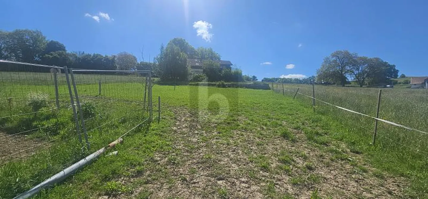 EXCEPTIONAL PRICE! TO BE DEVELOPED IN A BARN - Photo 3 of 6