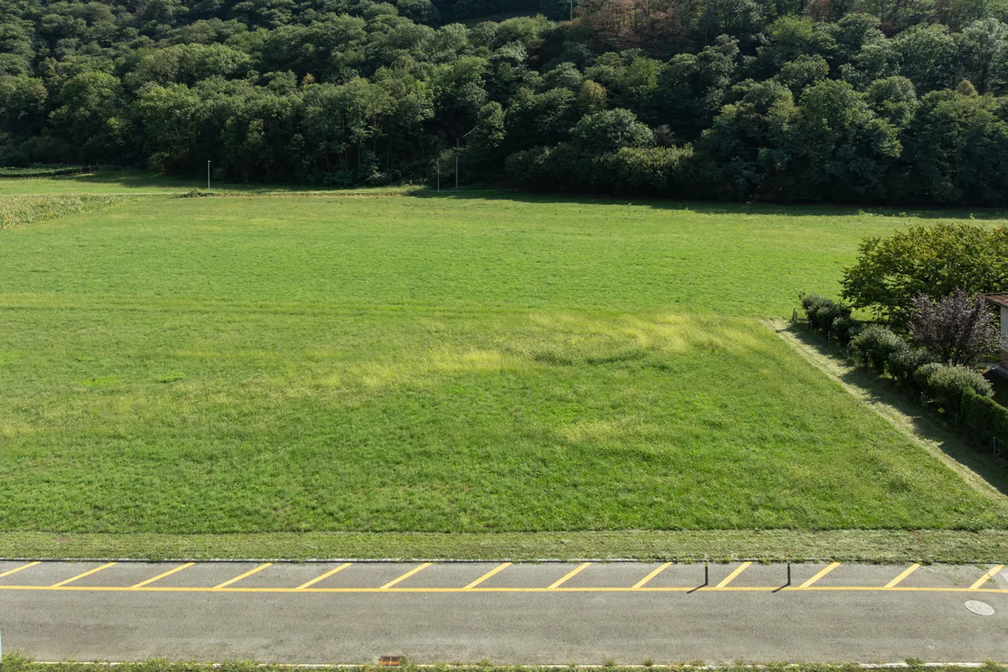 Between Bellinzona and Locarno: large building plot in a residential area... - Photo 3 of 5