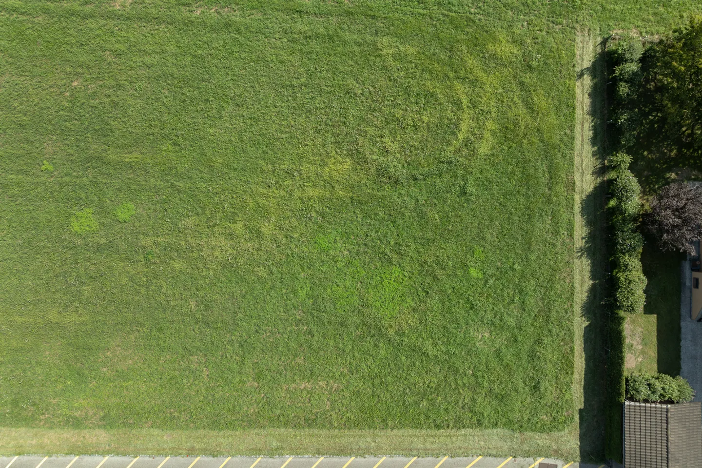Between Bellinzona and Locarno: large building plot in a residential area... - Photo 4 of 5