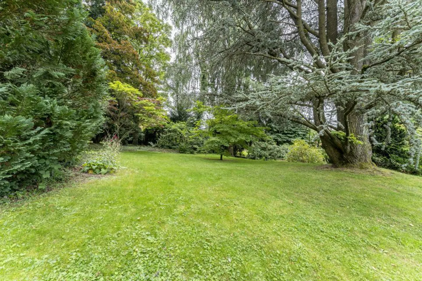 PROPRIÉTÉ MAGNIFIQUE PRÈS DE LAUSANNE - Photo 3 sur 13