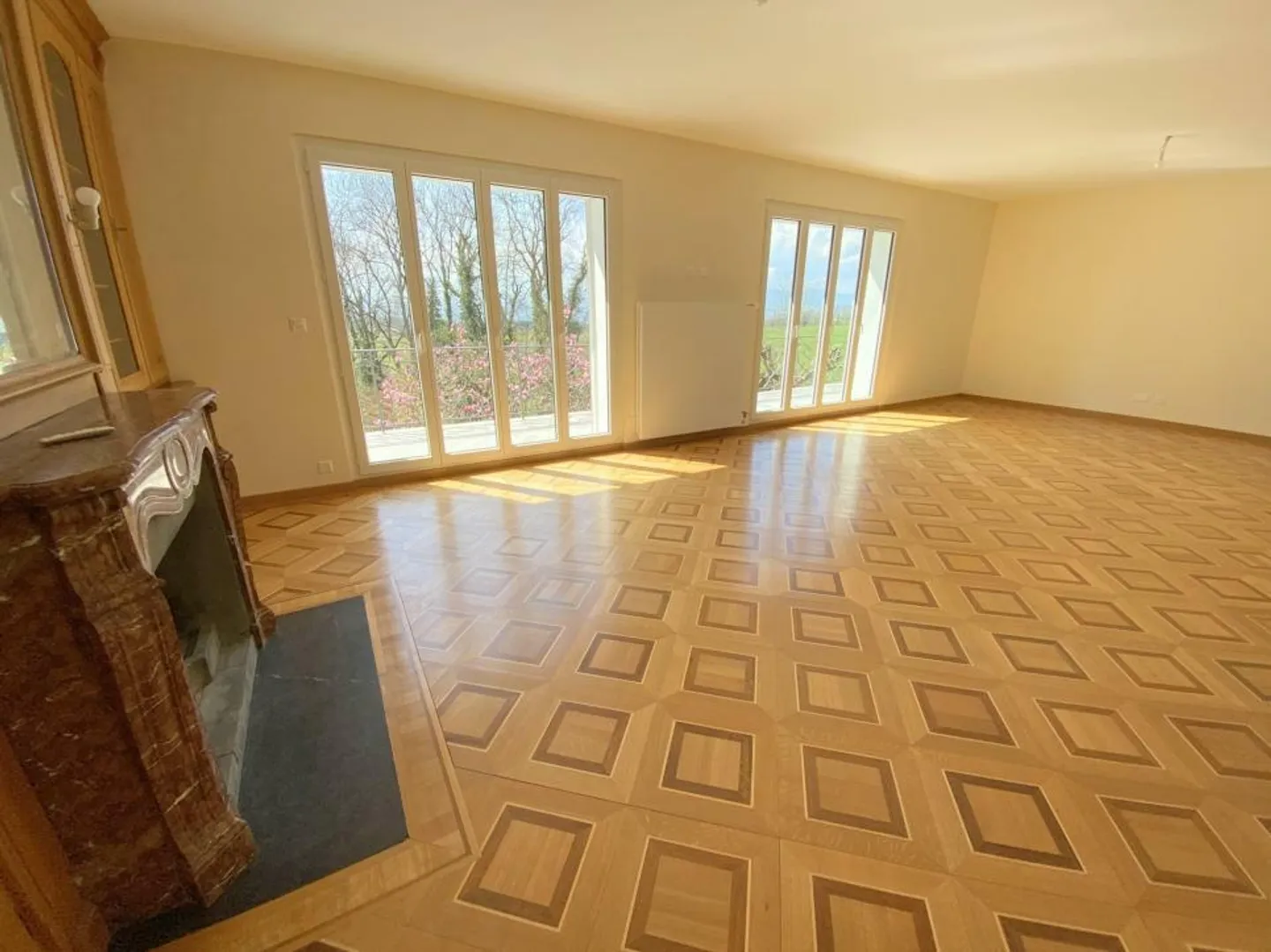 PROPRIÉTÉ MAGNIFIQUE PRÈS DE LAUSANNE - Photo 5 sur 13