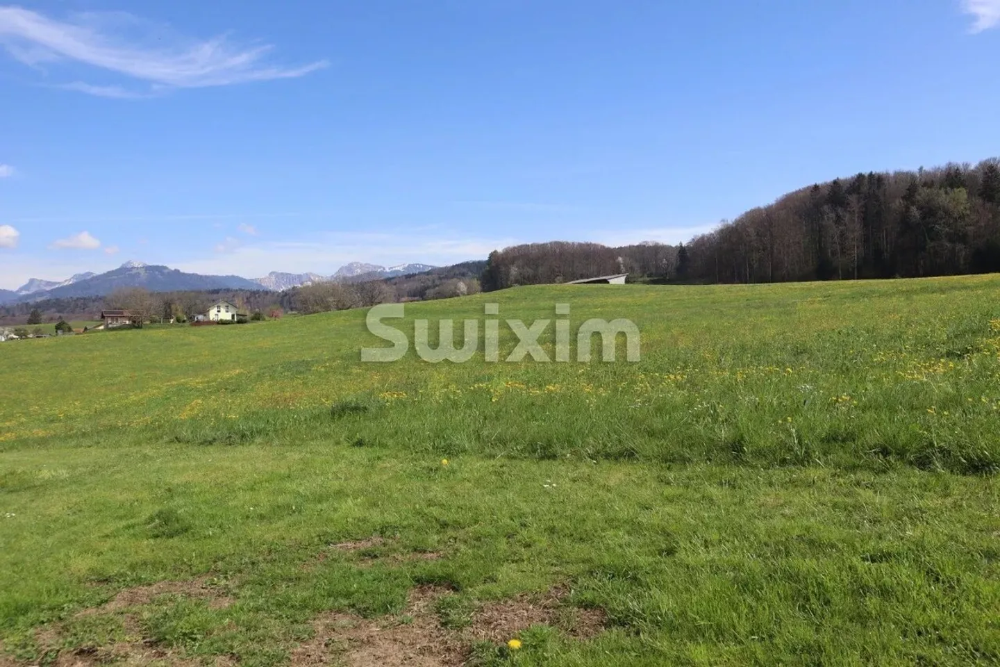 Ultima possibilità! Triplex di 5,5 stanze nelle Alpi friburghesi! - Foto 1 di 8