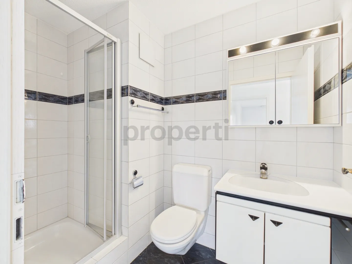 Spacious 5.5-Room Apartment - Photo 10 of 13