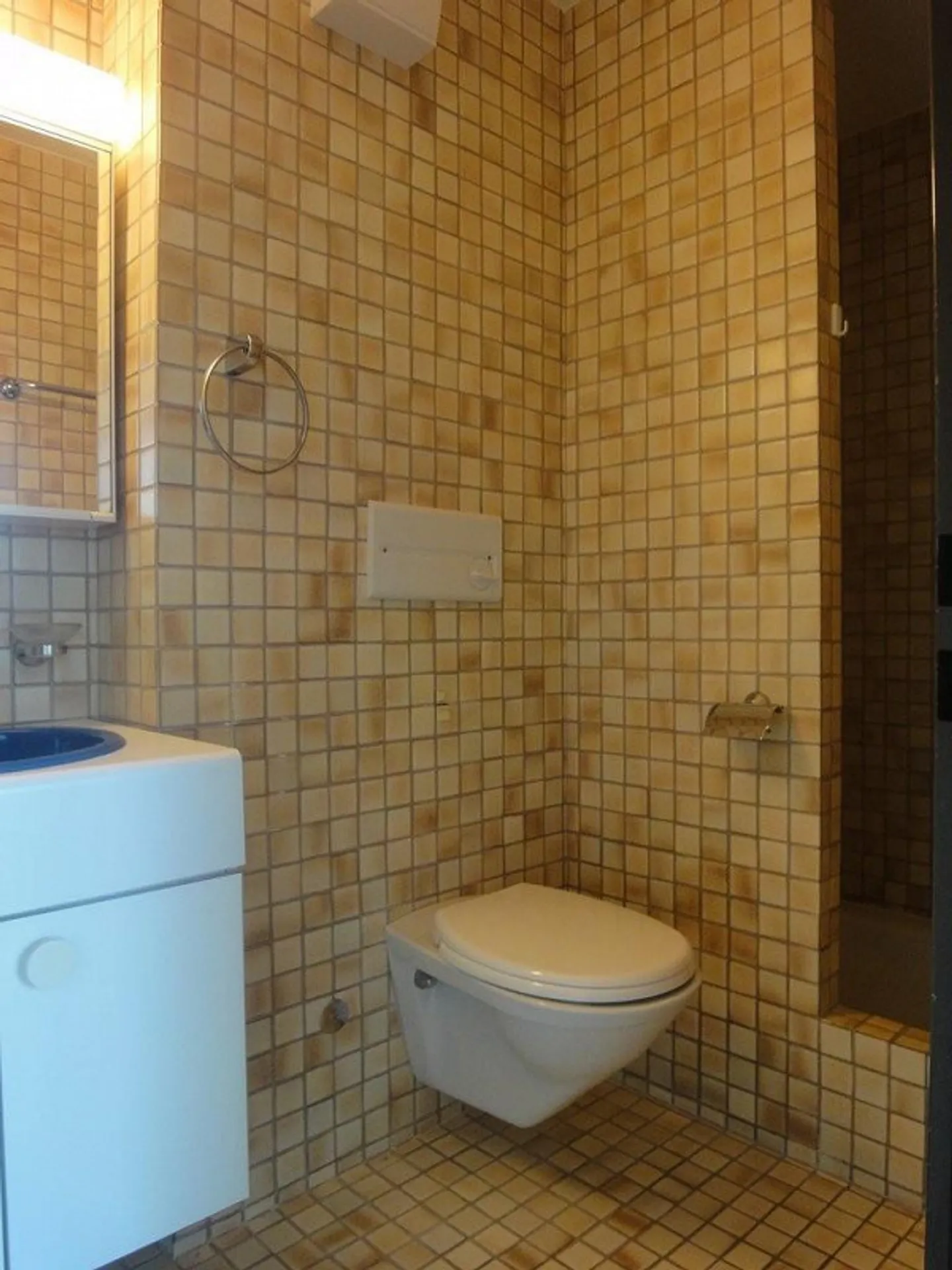 Living in the Green in Zurich-Witikon limited until 31.03.28 - Photo 4 of 12