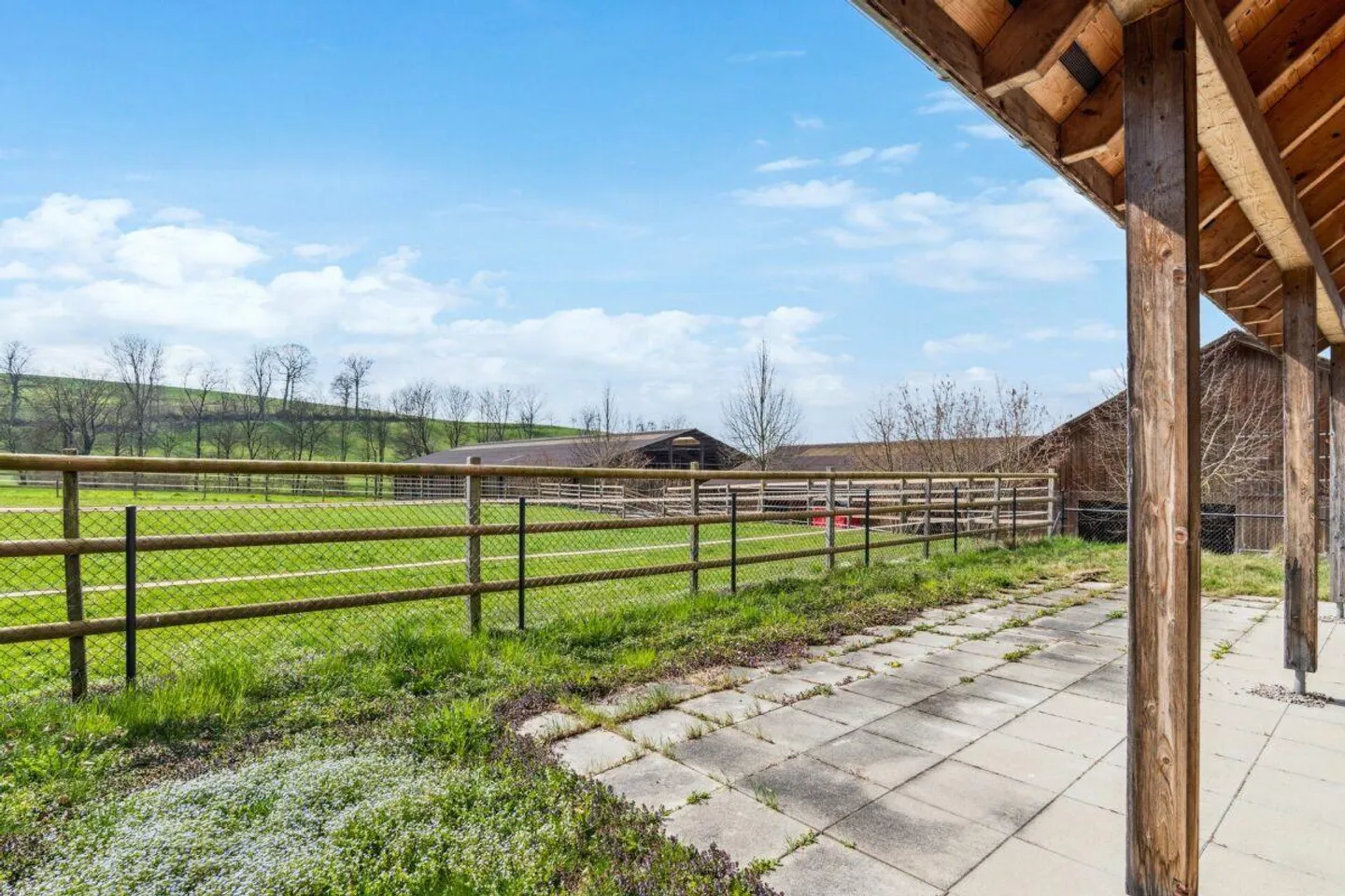 Propriété équestre avec manège et maison d'habitation - Photo 14 sur 24