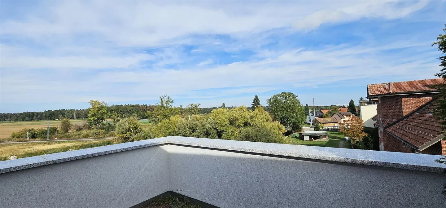 Attic: 4.5 rooms, 145 m² living space, 150 m² roof terrace with jacuzzi - Photo 7 of 26