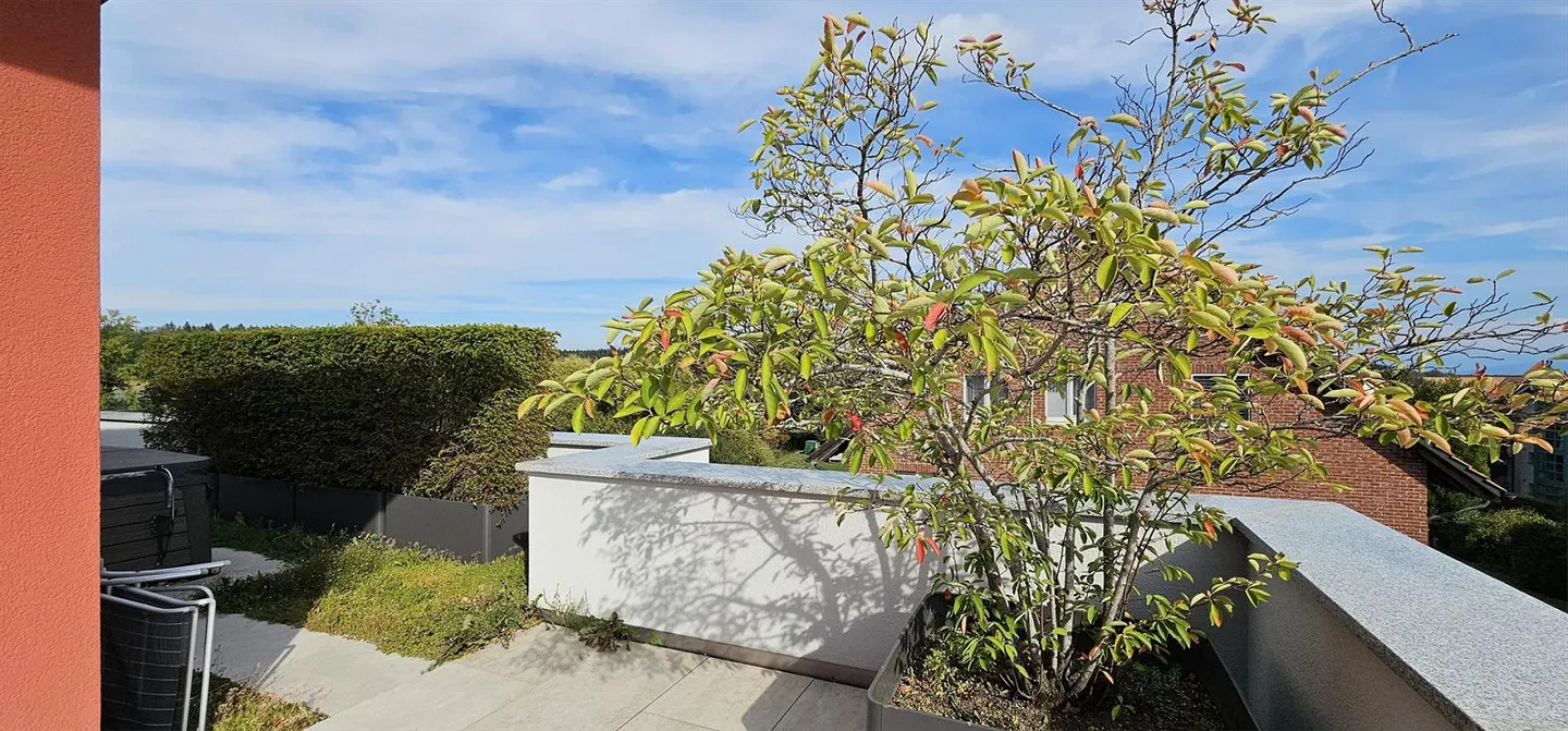 Attic: 4.5 rooms, 145 m² living space, 150 m² roof terrace with jacuzzi - Photo 11 of 26