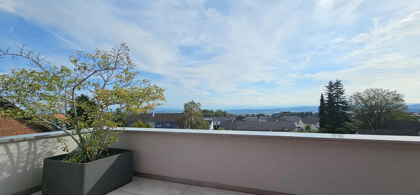 Attic: 4.5 rooms, 145 m² living space, 150 m² roof terrace with jacuzzi - Photo 12 of 26