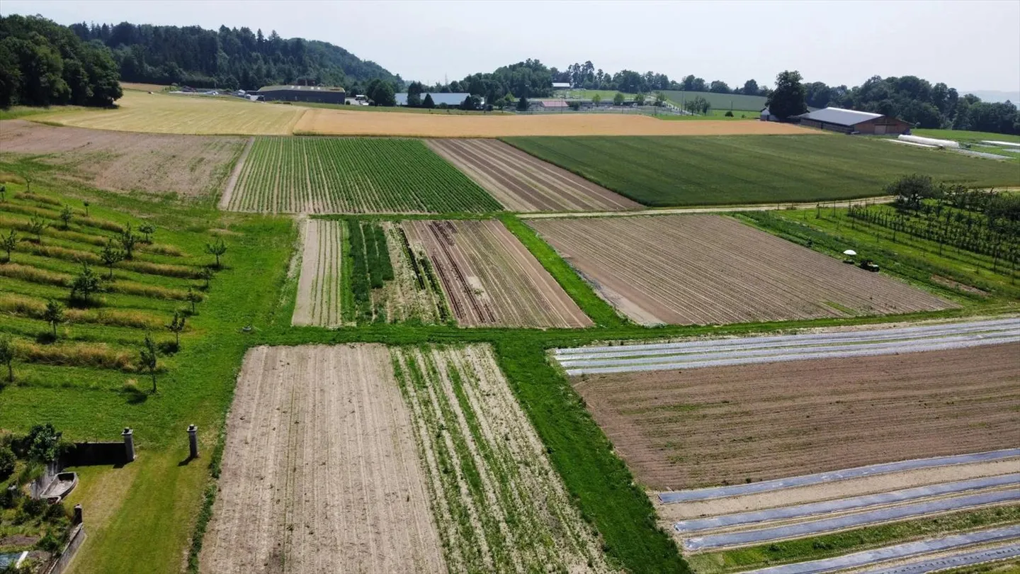 Immeuble mixte - Photo 4 sur 13