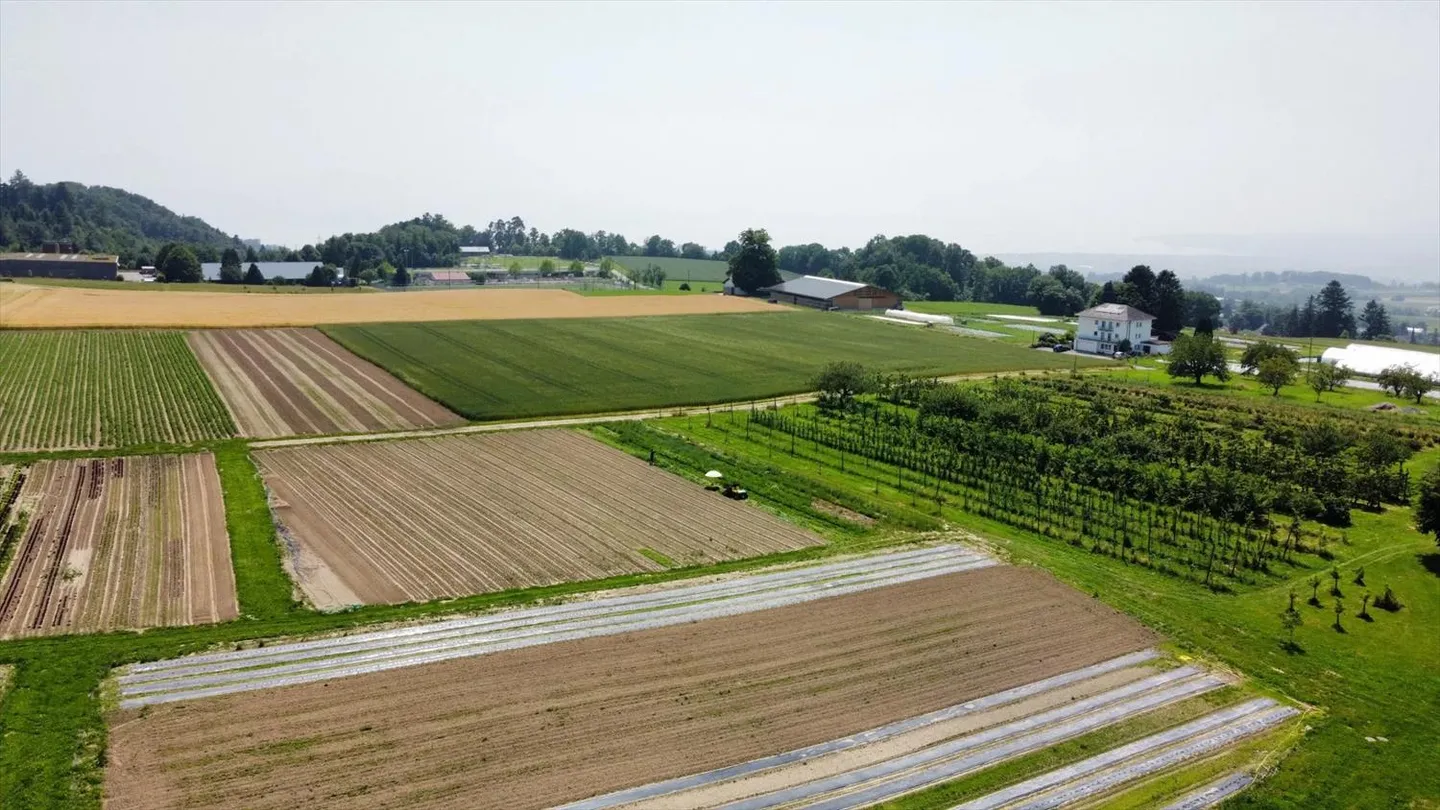 Immeuble mixte - Photo 6 sur 13