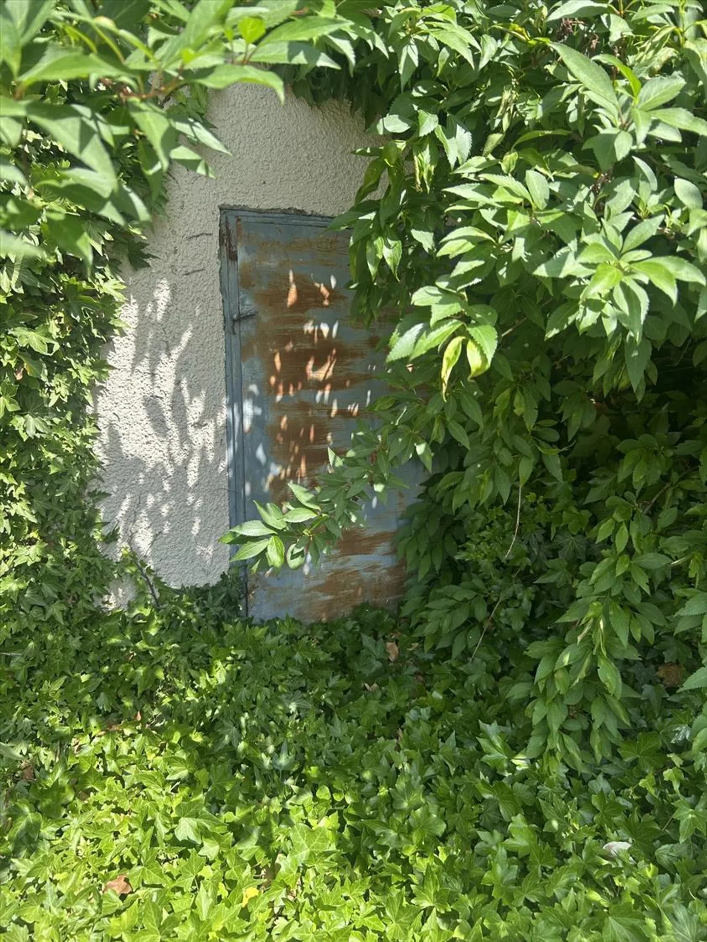 Immeuble mixte - Photo 7 sur 13