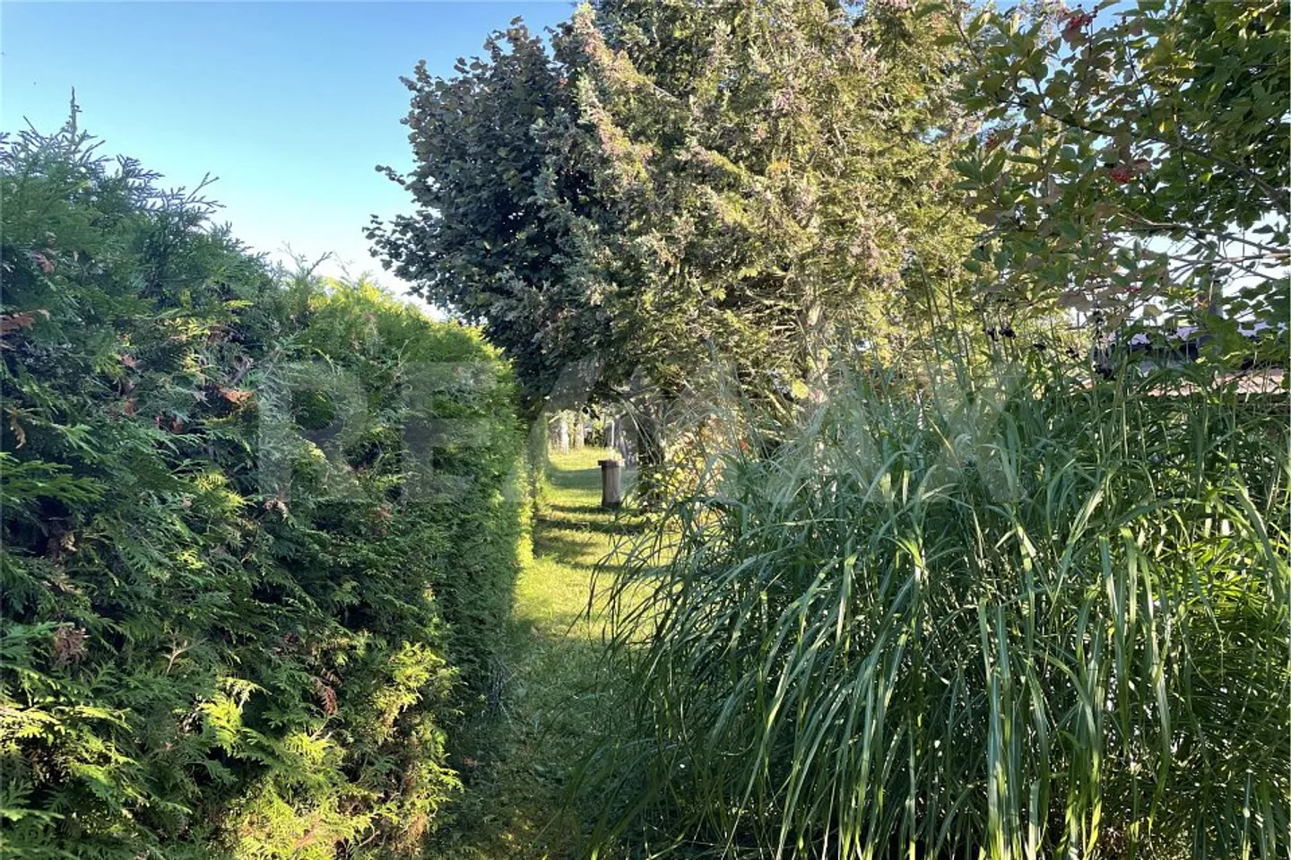 oinpüiompüoüoomoümooop - Photo 3 of 13