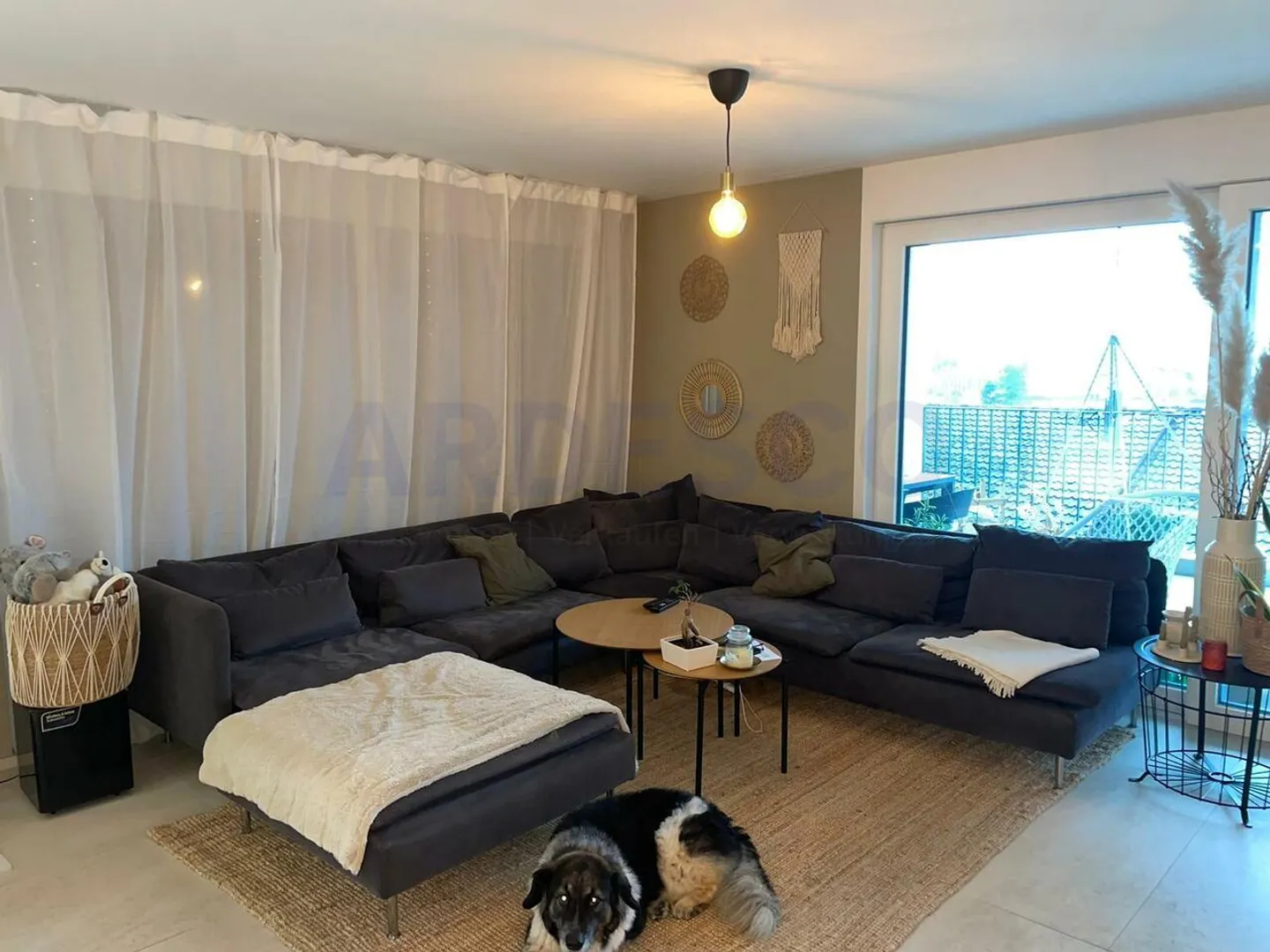 The motto is; simply genius! - Photo 2 of 7