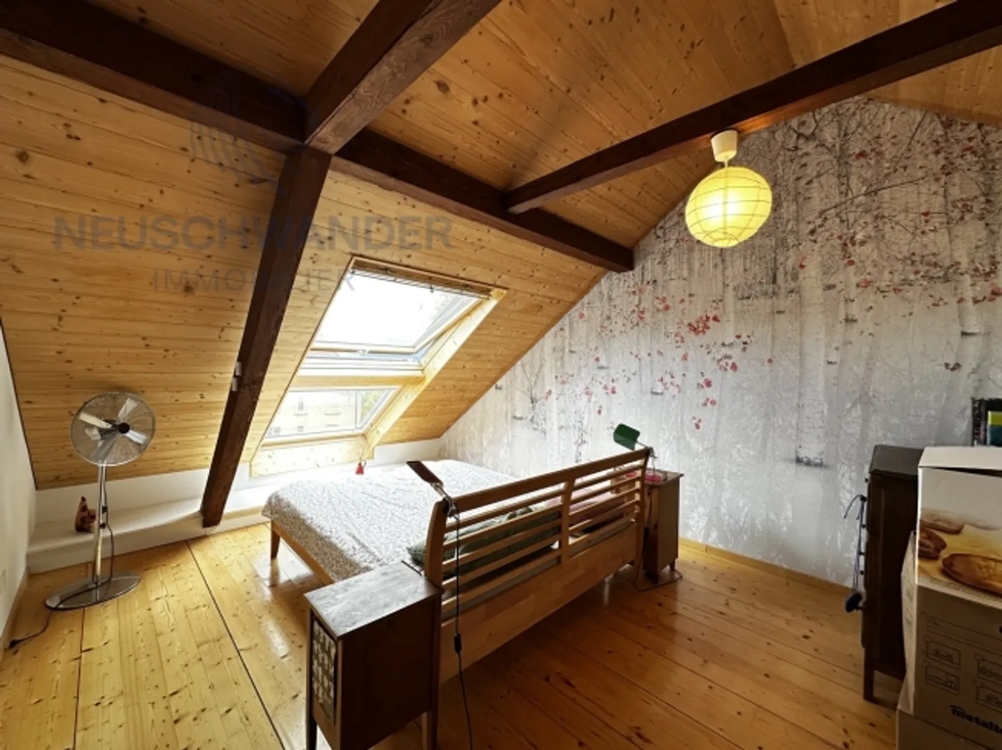 Luminoso, ben posizionato, pronto per essere abitato! - Foto 9 di 12