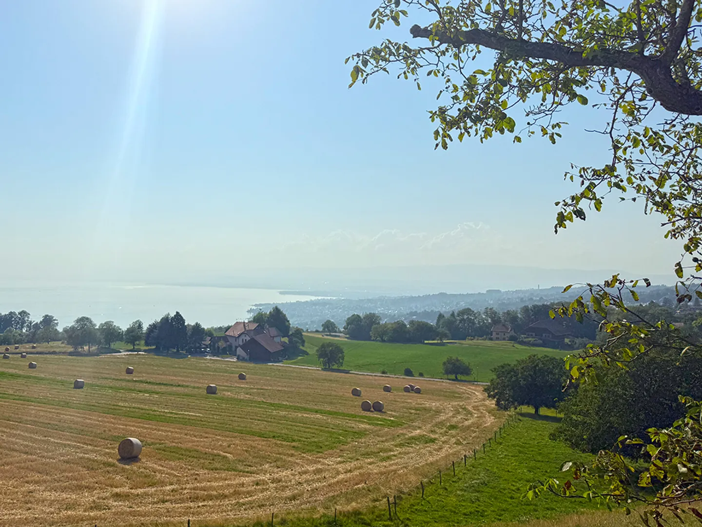 Apartment - Photo 5 of 6