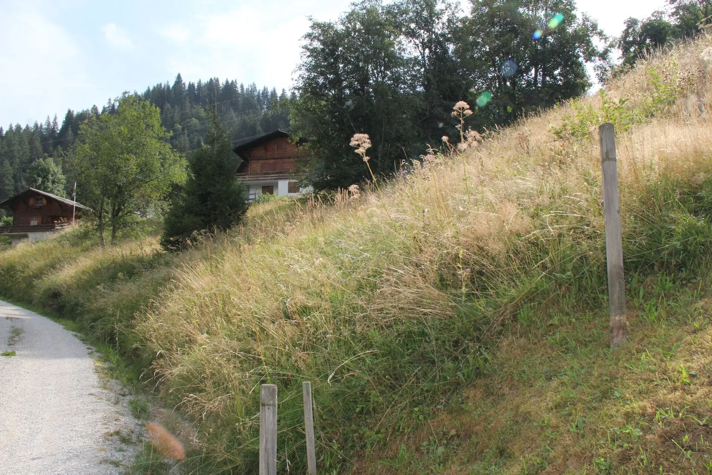 Large building plot (906m2) with the possibility of co-purchasing the neighboring plot - Photo 11 of 12