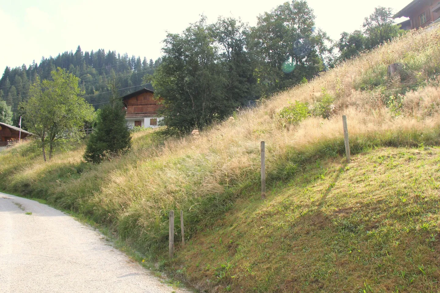 Large building plot (906m2) with the possibility of co-purchasing the neighboring plot - Photo 12 of 12