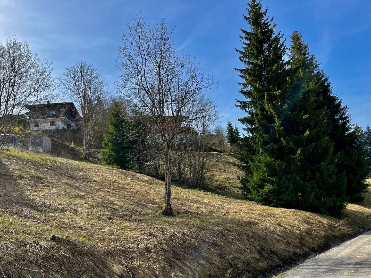 Large building plot (906m2) with the possibility of co-purchasing the neighboring plot - Photo 6 of 12