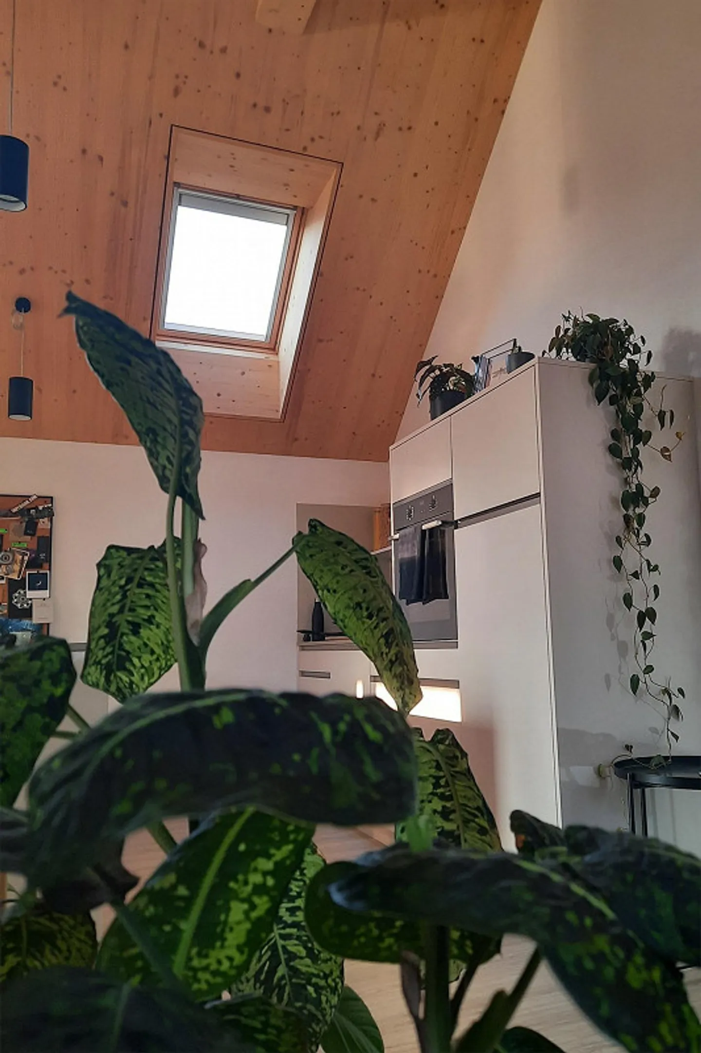 Penthouse apartment with mountain view - Photo 1 of 8