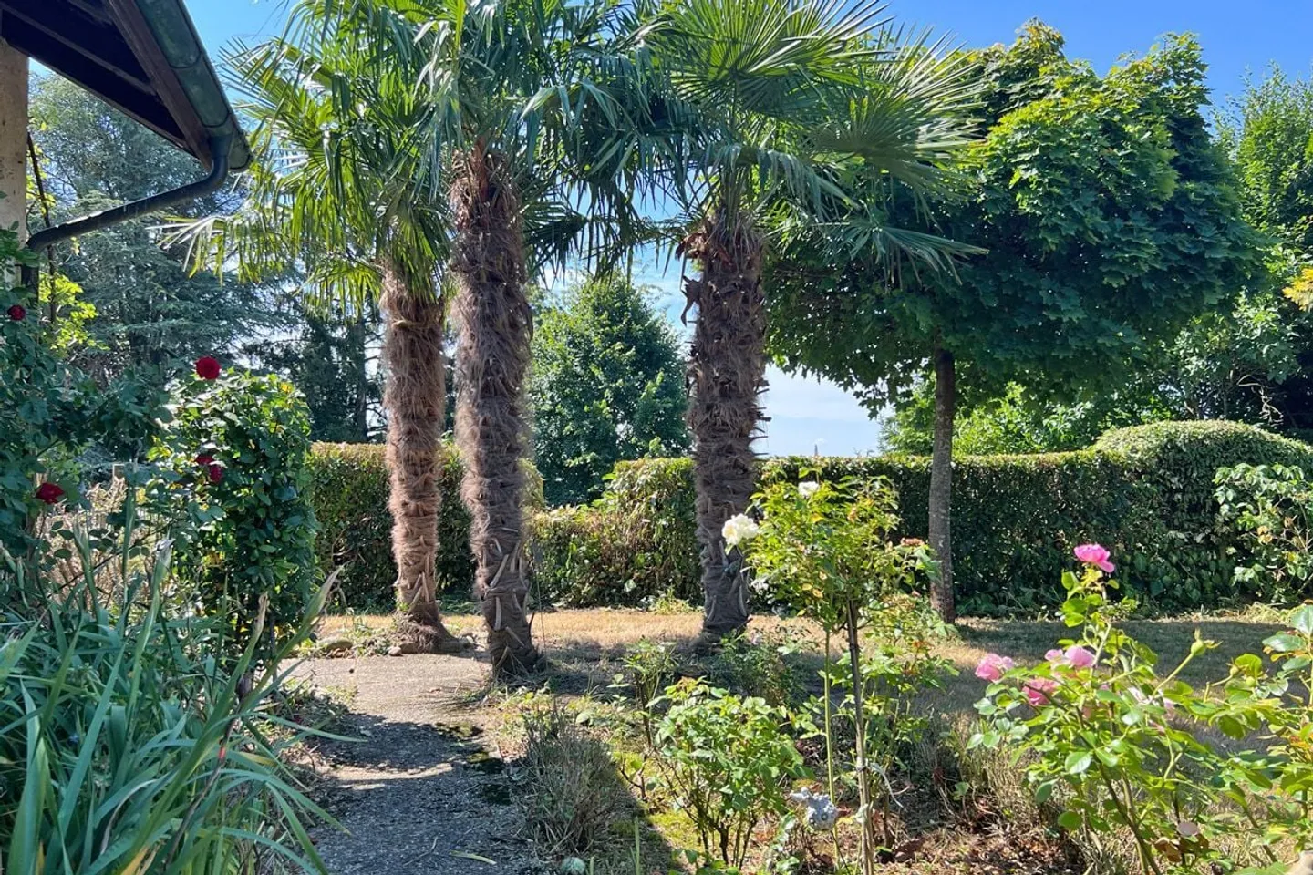 Geräumiges Familienhaus in Täuffelen - Foto 13 von 13