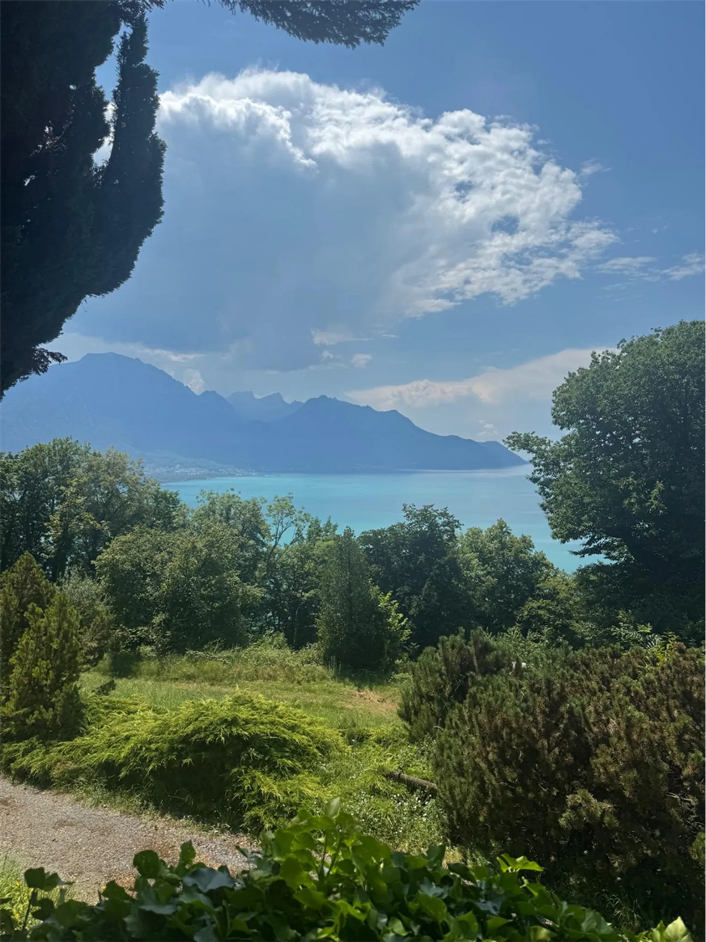 Superba proprietà in Viager (per un massimo di 6 anni) con vista panoramica sul lago - Foto 7 di 13
