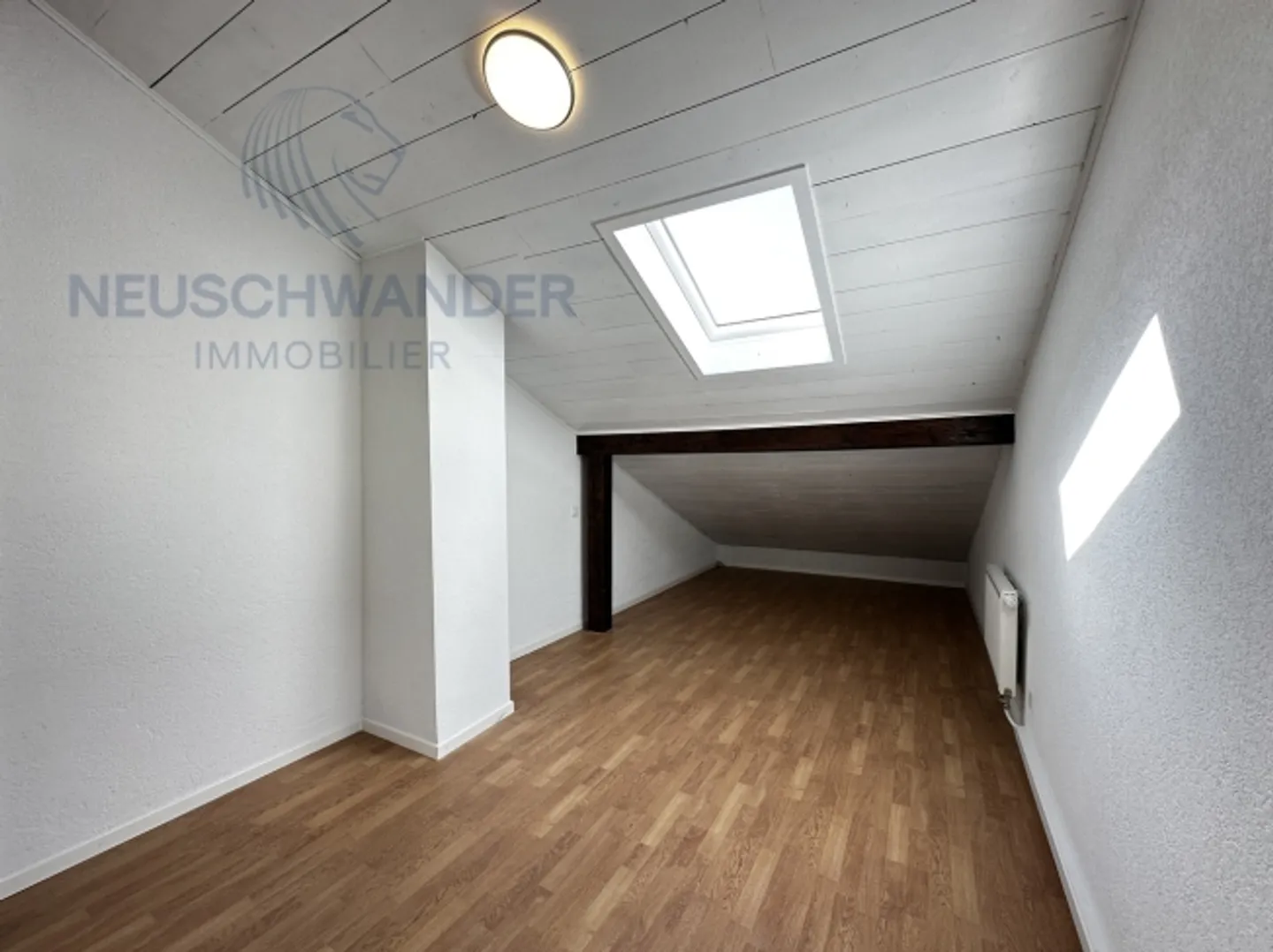 Suchen Sie nicht mehr, Sie haben es gerade gefunden! - Foto 8 von 8