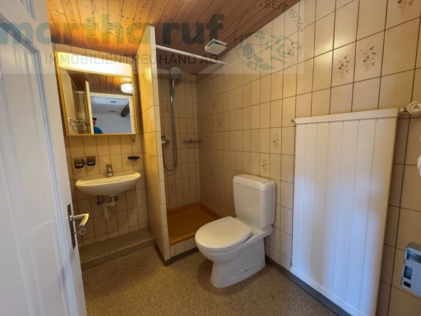 Charmante 4.5-Zimmer Attique - Foto 11 von 13
