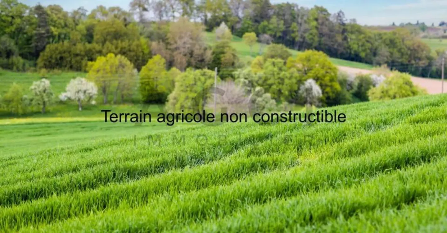 Non-buildable agricultural land with cabin and panoramic view - Photo 1 of 1