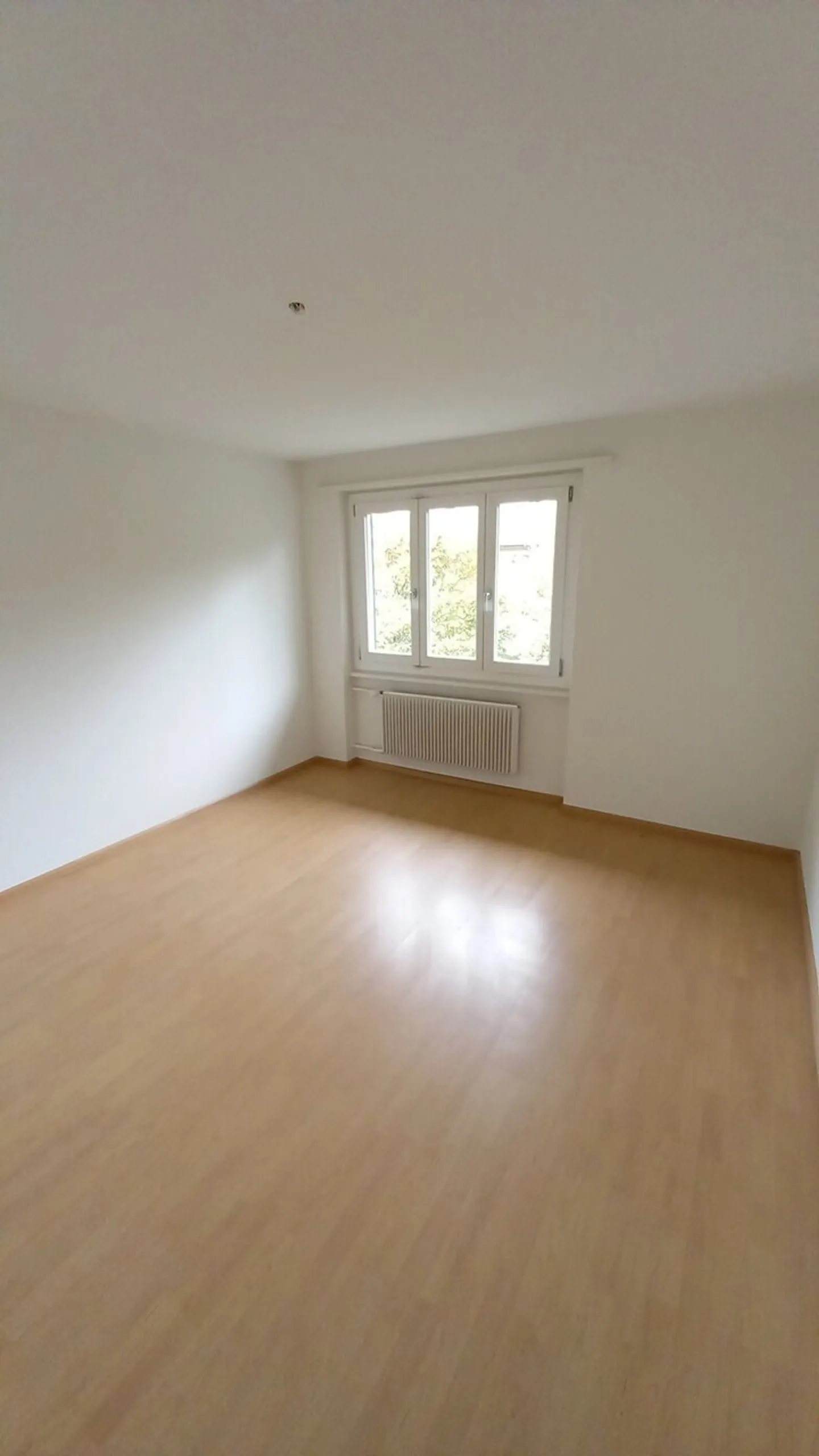 Charmante Wohnung in Oensingen - Foto 5 von 6