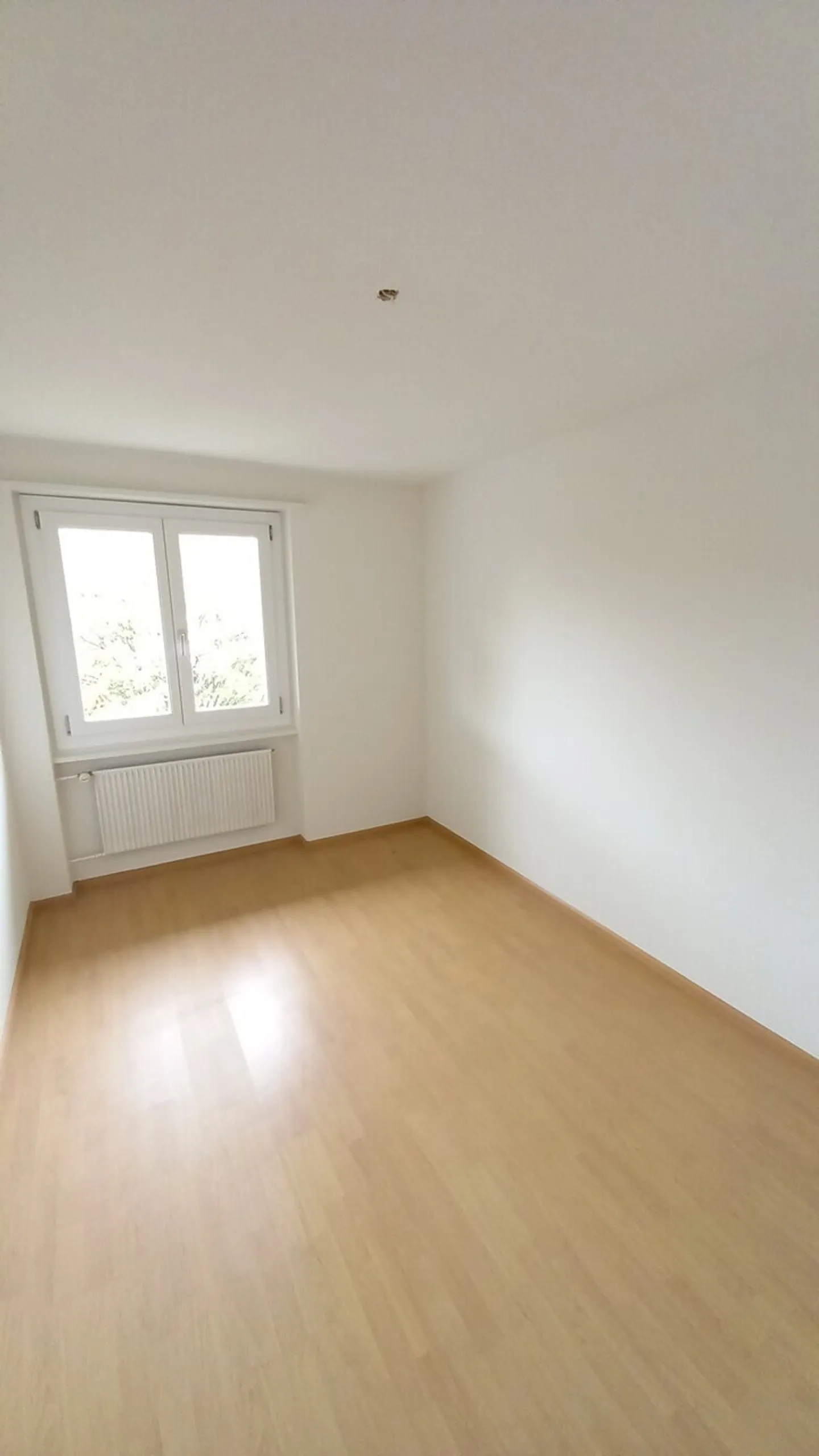 Charmante Wohnung in Oensingen - Foto 4 von 6