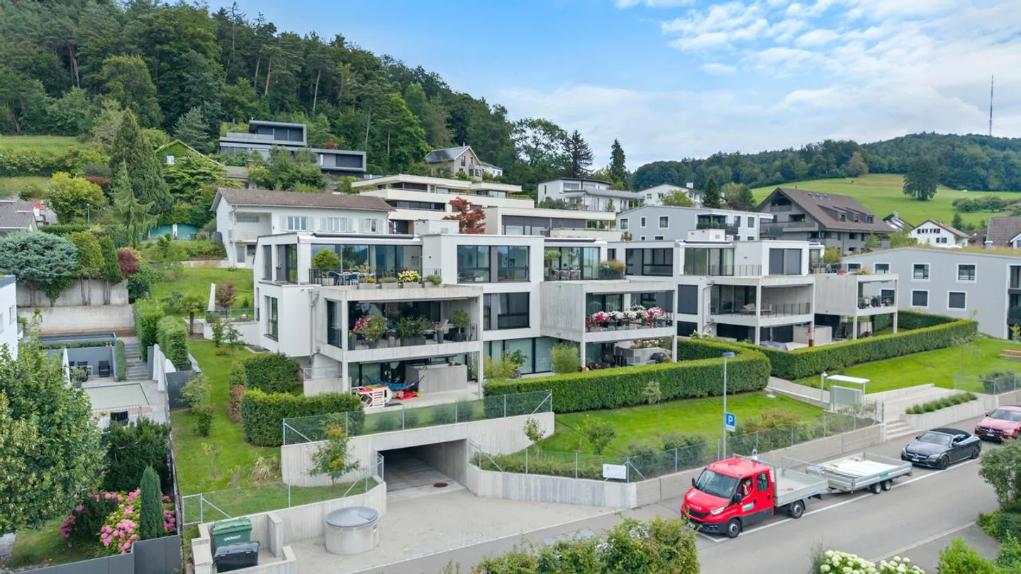 Vue Alpine | ZH - Photo 6 sur 6