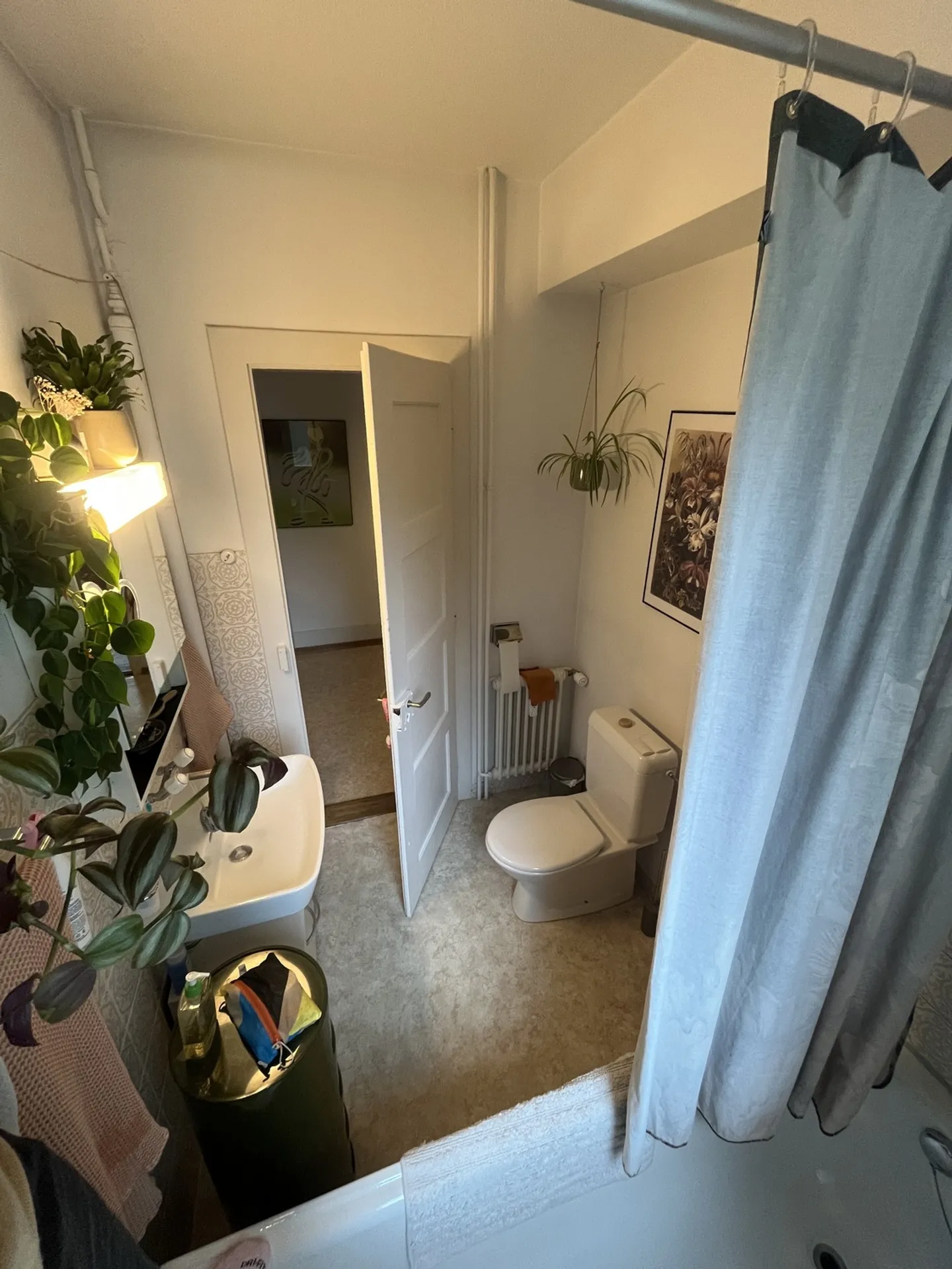 2½ ZI-WOHNUNG IN BERN - LÄNGGASSE, MÖBLIERT, TEMPORÄR - Foto 5 von 5