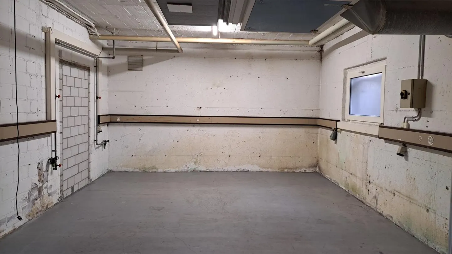 Laboratorio di 100m2, magazzino con garage - Foto 4 di 10