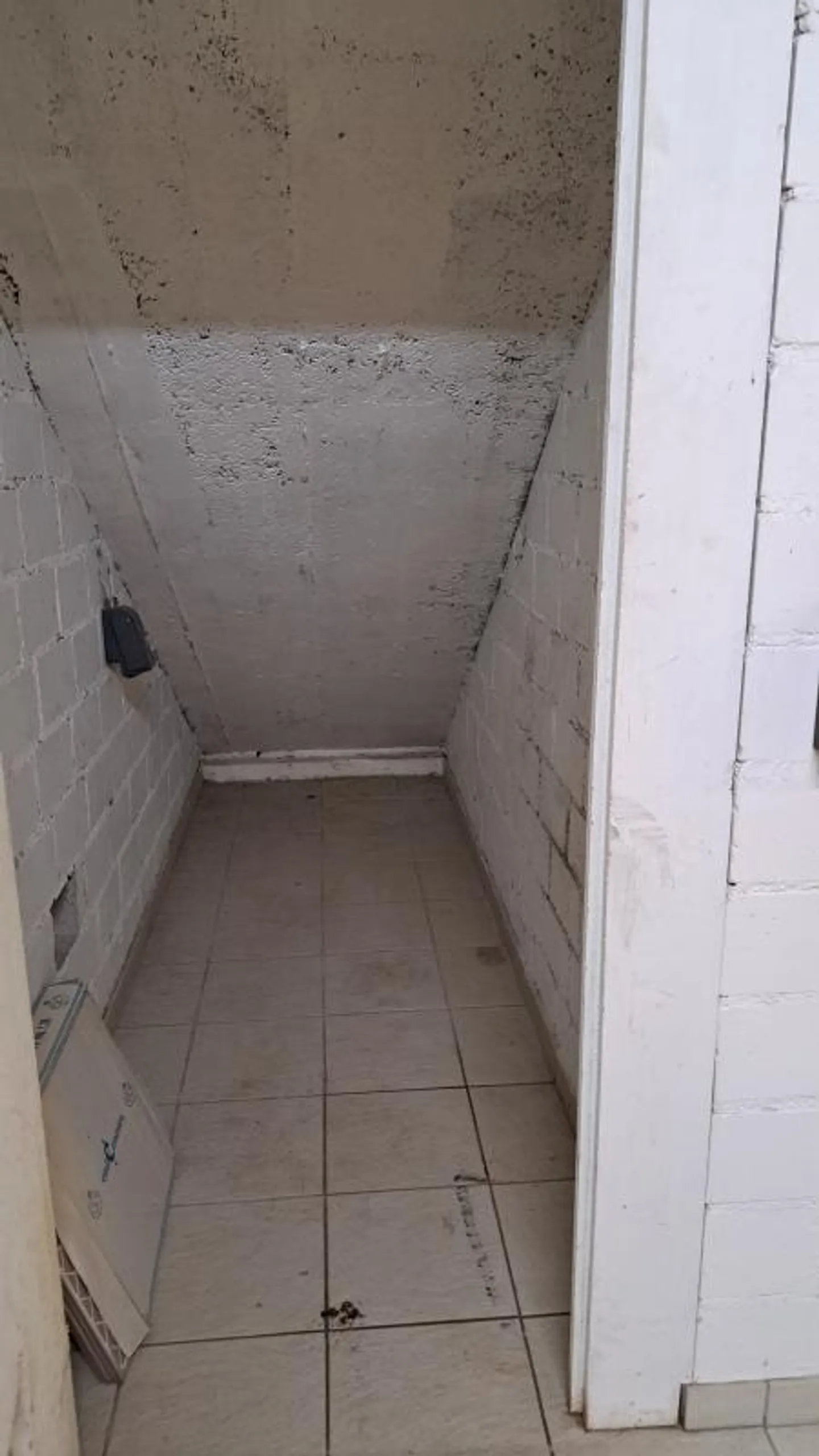 Laboratorio di 100m2, magazzino con garage - Foto 6 di 10