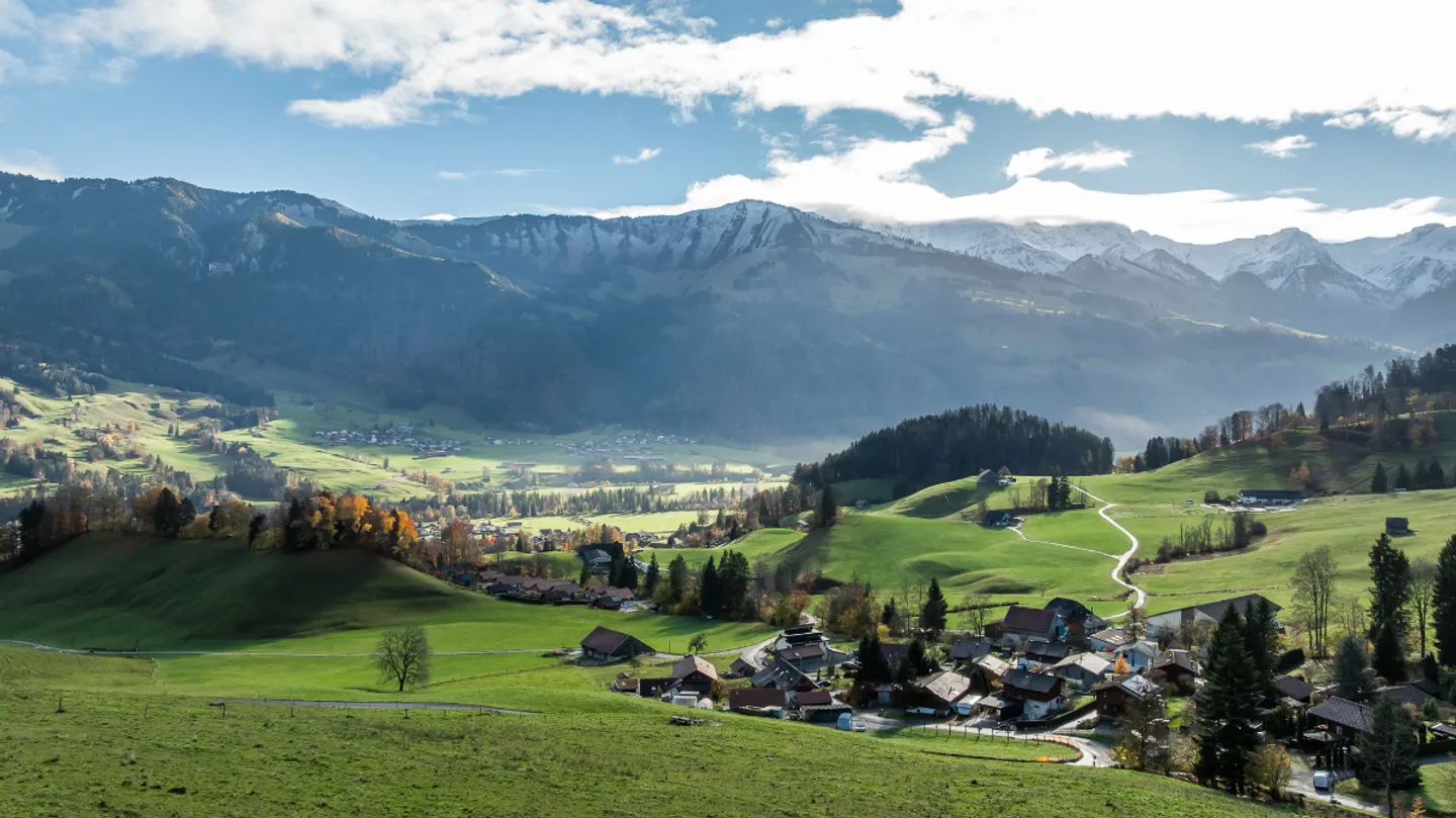 Dernière offre : Modernité et sérénité dans un environnement naturel - Photo 7 sur 8