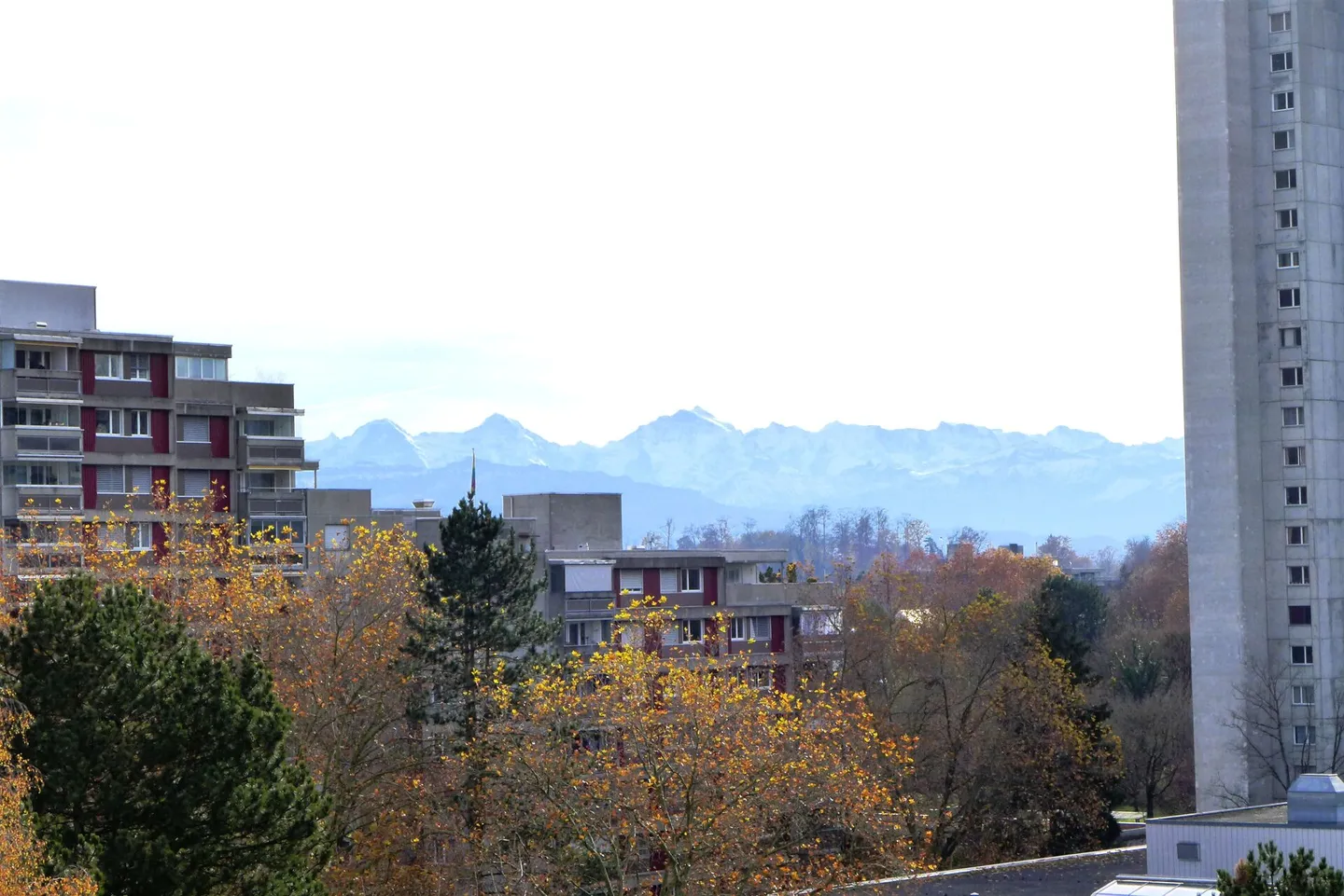 Renovierte Eigentumswohnung im Wittikofen Quartier im 7. OG mit Alpensicht (kein Baurecht) - Foto 3 von 13