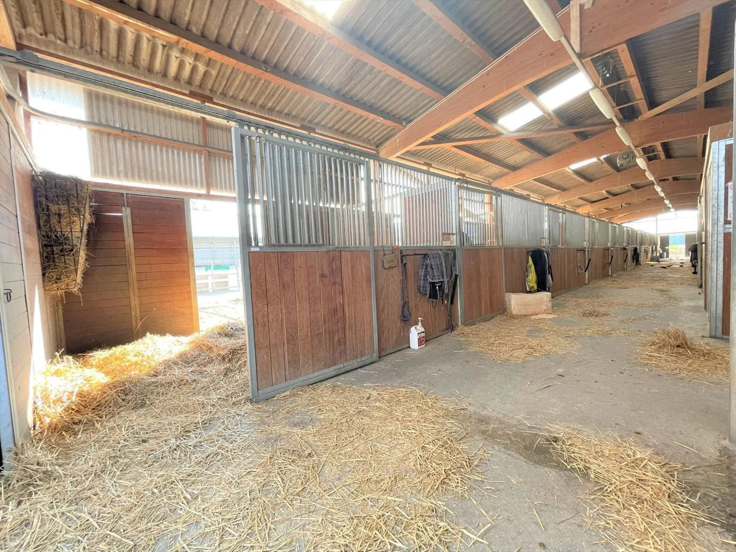 Magnificent Riding Center with Various Facets! - Photo 12 of 13